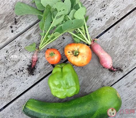 蔬菜如何分类施肥
