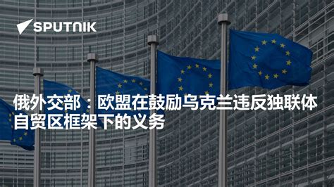 俄外交部：欧盟在鼓励乌克兰违反独联体自贸区框架下的义务 - 2015年12月23日, 俄罗斯卫星通讯社