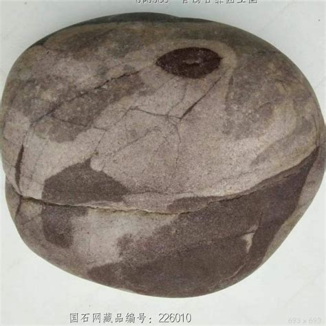 西汉“楚都尉印”龟钮银印 徐州博物馆藏-古玩图集网