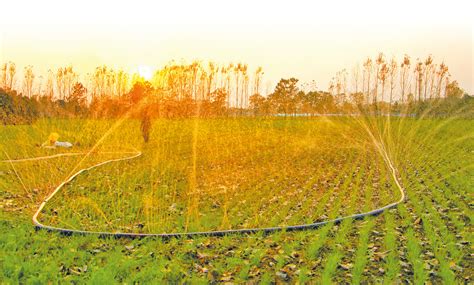 年底前河南省将基本完成756万亩新建高标准农田项目- 农业要闻 - 河南省农业农村厅