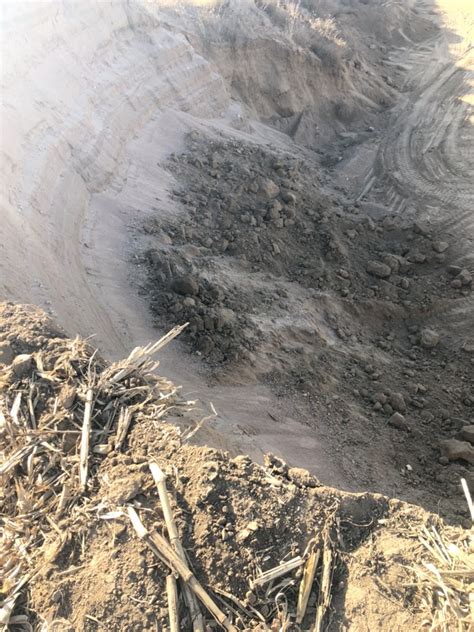 在湿泥沙土路上的秋叶沙地上的腐烂深高清图片下载-正版图片507256962-摄图网