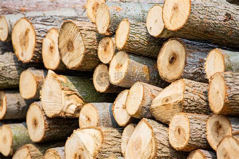 环保实木产品 家具材料 木门用材 地板基材-河北爱美森木材加工有限公司-优化木
