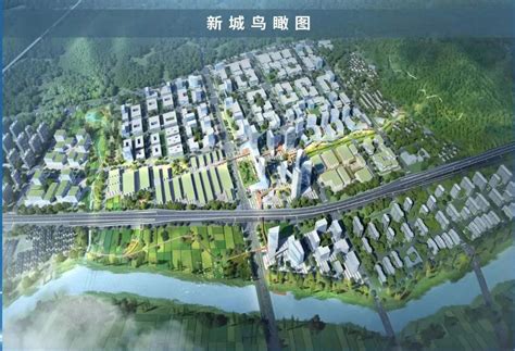 园区七大项目正式奠基 浙数文化产业园打响高质量发展头炮