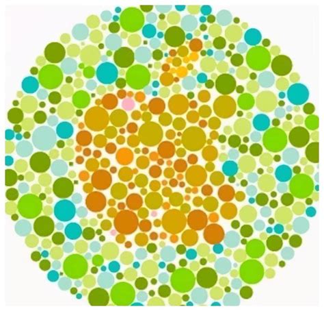 最简单的色盲，色弱测试图，从第一张开始，你能看到第几个？