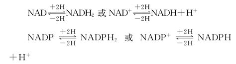 NADP/NADPH定量与比率分析试剂盒—辅酶NADP(NADPH)研究方案_生物器材网