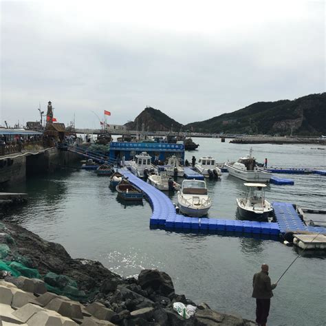广州黄埔长洲岛游艇码头正式投入运营__财经头条