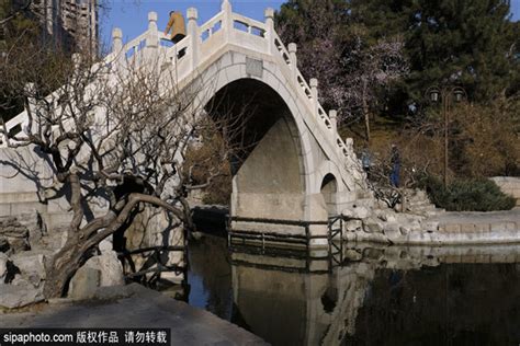 春天的公园北京团结湖公园mp44K视频素材