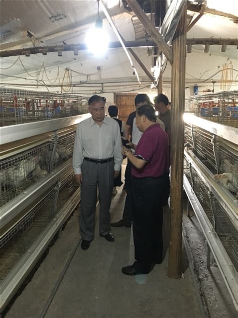 市政协开展“家禽产业转型升级”专题调研-宣城市农业农村局