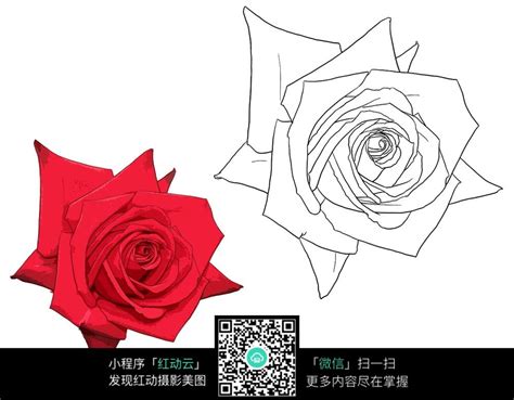 蜡笔画玫瑰图片