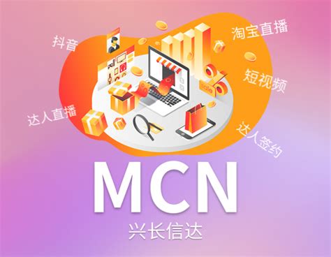 兴长信达自建MCN机构，助力品牌营销多领域“开花”_资讯中心_中国物流与采购网