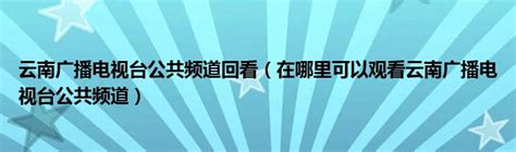 2021连云港公共频道广告价格-连云港-上海腾众广告有限公司