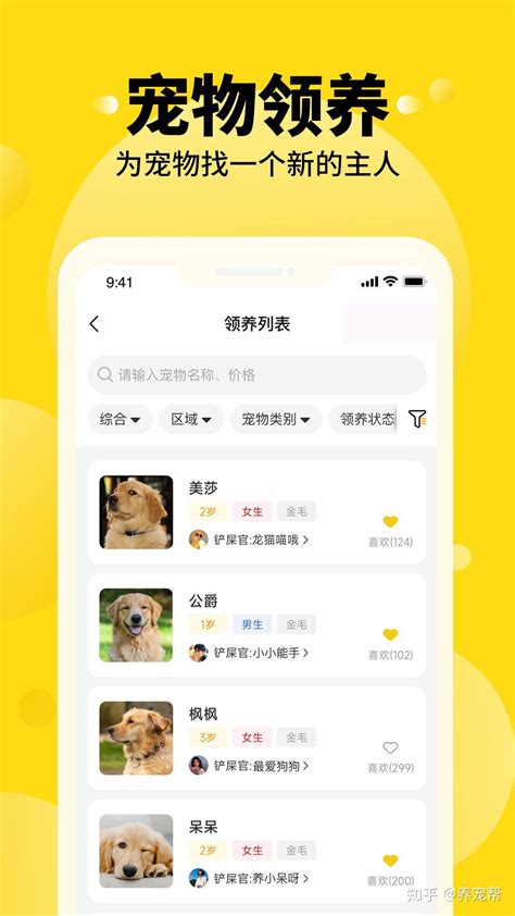 宠物收养领养app应用ui kit界面设计模板-XD素材中文网