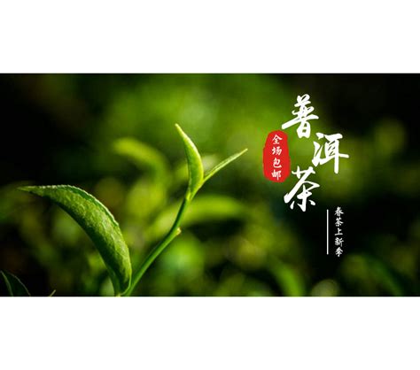 普洱茶宣传海报_素材中国sccnn.com