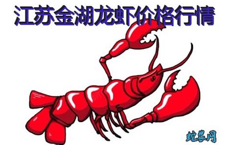 限定美味，锅圈食汇带你开启小龙虾的中秋之旅!-中国质量新闻网