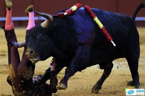 无法忘记的痛！西班牙斗牛士被牛顶的瞬间 - 第2页 | 探索网