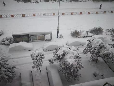 受暴雪极端天气影响，北美地区多家汽车工厂停工|界面新闻 · 汽车