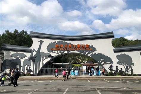 重拾童年记忆 | 杭州少年儿童公园改造项目-景观设计-中国美术学院风景建筑设计研究总院有限公司