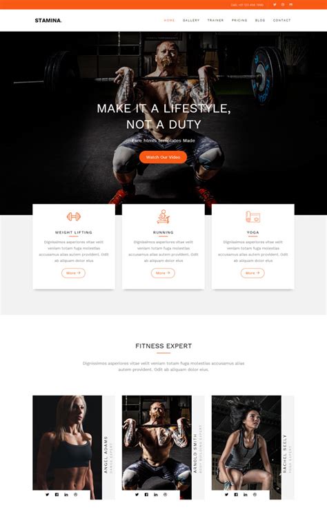健身网站设计模板，运动类网页设计_墨鱼部落格