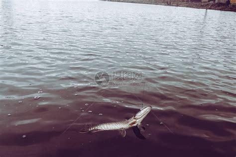湖边钓鱼的中年男性高清图片下载-正版图片501882114-摄图网