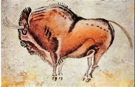 从DNA角度认识中国黄牛的起源和利用历史