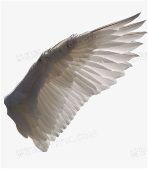 单翅的天使 天使之翼 主题曲 何以奇 窦智孔 歌谱 简谱