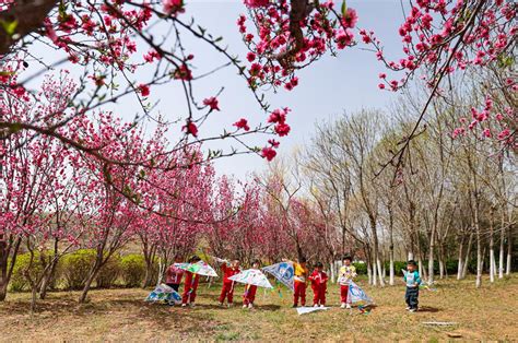 春天来了-“孔子故乡 中国山东”网络摄影大赛官方网站