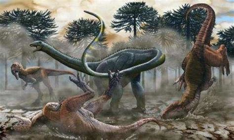 南十字龙：地球上最早的恐龙（长2米/距今2.25亿年前）_探秘志