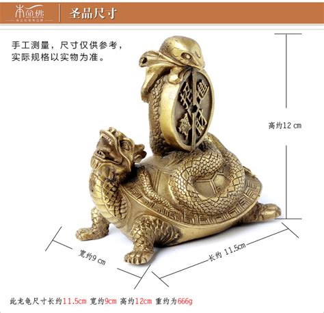 玄武龟图片