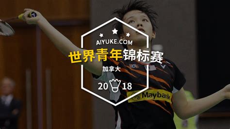 2018年 最新羽毛球公开赛高清视频专辑-爱羽客