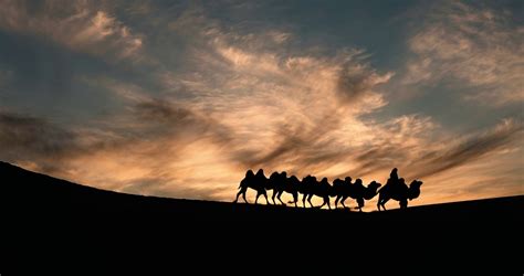 日落，骆驼，驼队，剪影，夕阳，动物，沙漠，逆光，巴丹吉林沙漠视频素材_ID:VCG2216075199-VCG.COM