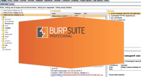 【Burp Suite特别版】Burp Suite下载 v2.1 汉化版-开心电玩