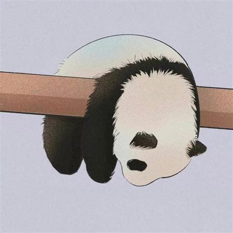 非主流搞笑熊猫头像