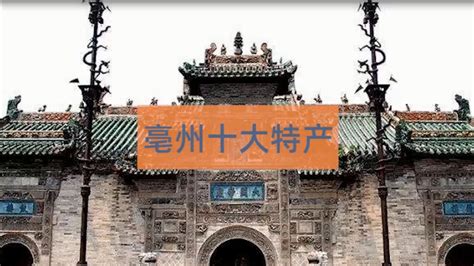 【2022年暑期社会实践】我校学子赴亳州市谯城区开展暑期社会实践活动-池州学院