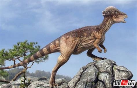 世界上什么恐龙最可怕?盘点世界上10大最可怕的恐龙(带图)_探秘志