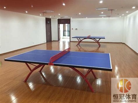 广西乒乓球台|乒乓球台厂家|室内SMC乒乓球台-恒冠体育,厂家直销