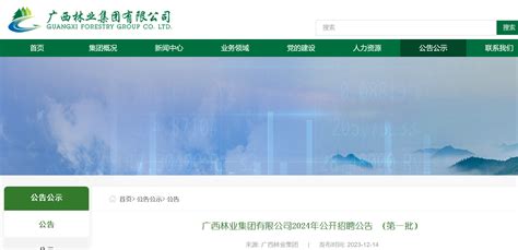 2024年广西林业集团有限公司第一批公开招聘91人 （12月24日截止报名）
