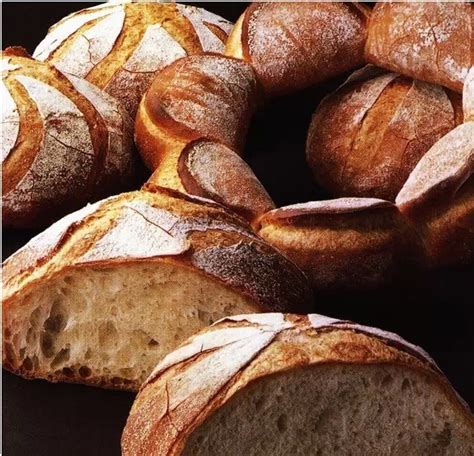 面包知识丨走近德式面包文化（附正宗的德国酸面包配方）_黑麦
