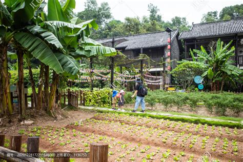 惠众农庄：打造“生态自然、绿色健康、农旅结合、研学一体”的农业基地
