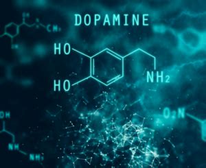 聚多巴胺的发现、反应原理及应用