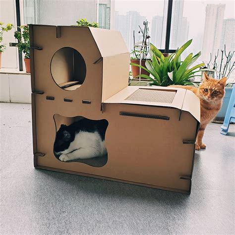 各种猫窝自制教程,南瓜猫窝,用纸盒箱做豪华猫房子_大山谷图库