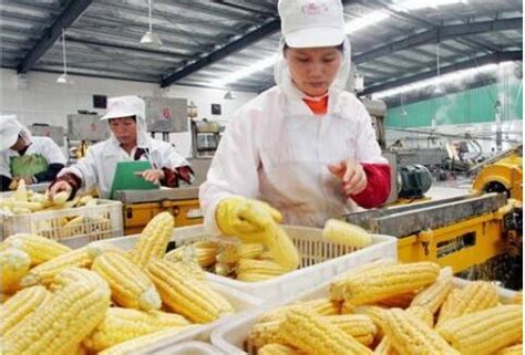 《2021年度中国食品工业创新发展报告》展现食品工业高质量发展成果 - 轻工 - 中国产业经济信息网