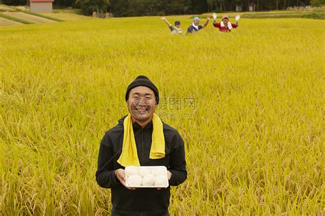 农业工作者水稻米丰收高清图片下载-正版图片502049540-摄图网