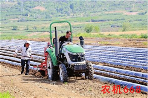 威海：荣成市红薯机械化种植增产又增效（图）-农机化与农机资讯-资讯-农机668