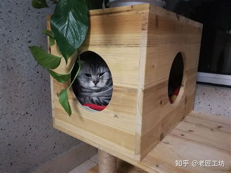 猫别墅设计图,家庭猫屋图,豪华猫别墅_大山谷图库
