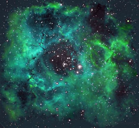NGC2237号玫瑰星云图片