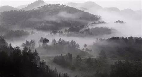湖面上沉雾的早晨夏天清晨下着大雨高清图片下载-正版图片507219876-摄图网
