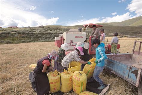 我州现代农牧业发展纪实 - 甘孜藏族自治州人民政府网站