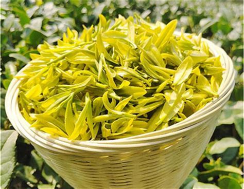 中国最贵的茶叶是多少钱一斤，中国最贵的茶叶520万元一斤 - 茶叶百科 - 聚艺轩