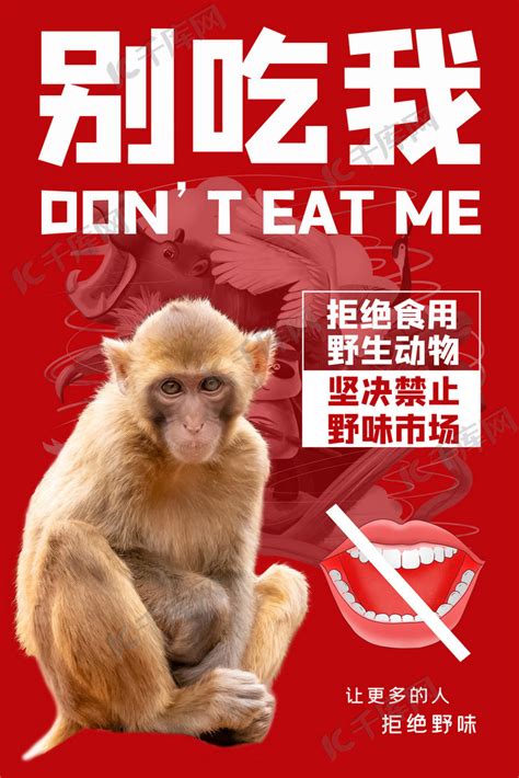 拒绝野味猕猴红色大气海报海报模板下载-千库网