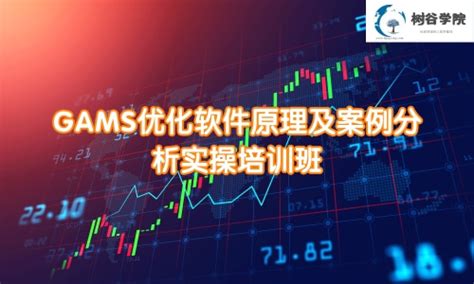 GAMS优化软件原理及案例分析实操培训班 - 北京树谷信息科技有限公司